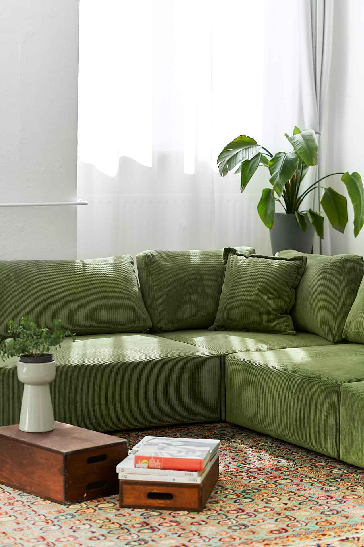grüne Sofa Ecke mit Pflanzen und Zeitschriften
